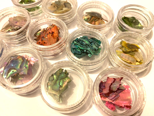 Opal Shell Collection